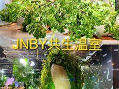 -精绝七日-新疆尼雅遗址数字大展【拉法耶文化艺术中心】