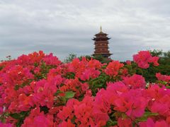 -厦门园林博览苑