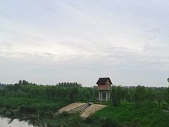 -东郊湿地公园