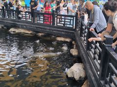 -华夏文旅海洋公园