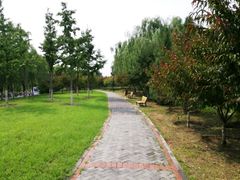 -永定河休闲森林公园