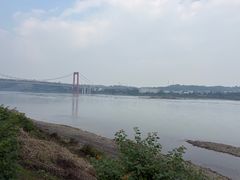 -张坝桂圆林公园