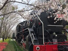 -新天地活力PARK