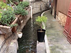 -艾莱克咖啡面包坊·甜心对白