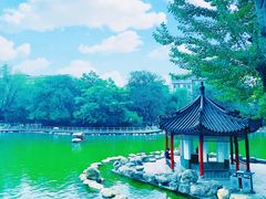 -莲湖公园