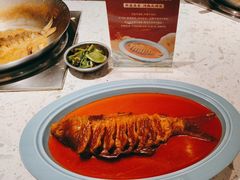 -阿五黄河大鲤鱼(英协路店)