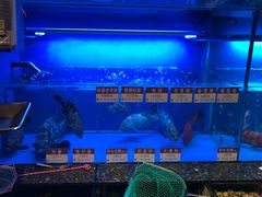 水产区-协成海鲜火锅(海洋花园店)