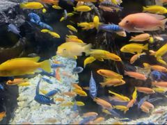 -太平洋海底世界