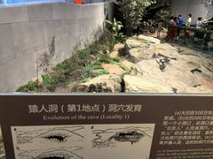 -北京周口店北京人遗址博物馆