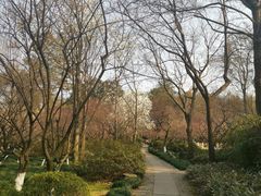 -杭州植物园