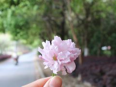 -漕湖湿地公园