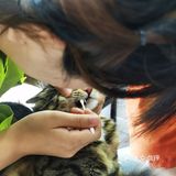 做个爱洗澡的猫吧