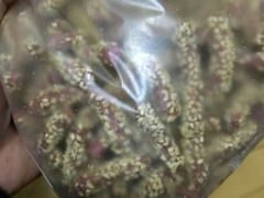 -奥士凯物美(新兴里店)
