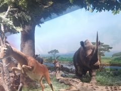 -国家自然博物馆