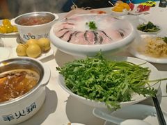 -蒙都43°9羊火锅·赤峰美食(宁城店)