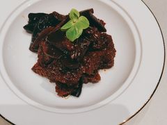 -蝶园·装修中(BFC外滩金融中心店)