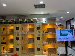 -小猫来了猫舍(福田店)
