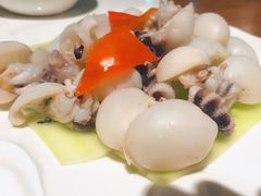 -三猫黑鱼花(南大店)