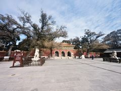 -沈阳市东陵公园