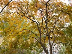 -昆山城市生态森林公园