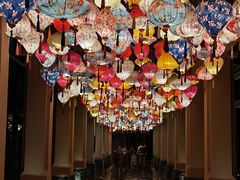 -海南清水湾莱佛士酒店