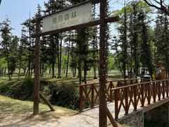 -宜兴龙背山森林公园