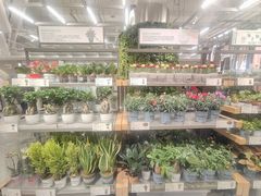 -鹿岛生活(熙地港店)