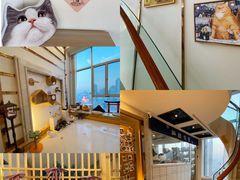 -Catmate·猫肥家润(金润铂宫店)