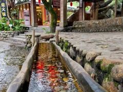 -天门沟九州驿站树上汤泉