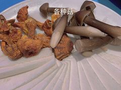 -千岛蚝高压锅生蚝·人参火锅(白云万达店)