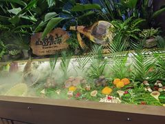 -慢丽江·云南野生菌土鸡锅(西山店)