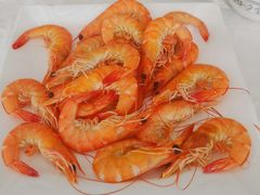 河虾-渔民船说·北塘海鲜·天津菜·海肠捞饭(北塘古镇店)