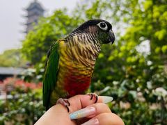 -常熟方塔园