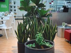 -813芭依珊 BAESAn(皇冠十畝地店)
