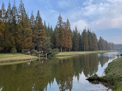 -黄海国家森林公园