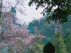 -武当山风景区