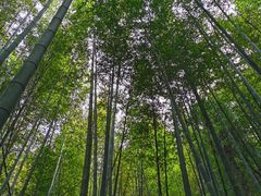-鸡枕山