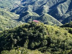 -大岭沟猕猴桃谷风景区