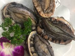 鲍鱼-港迹·鲜围煮海鲜火锅(湖州时代广场店)