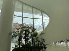 -浣熊唱片店(上海影城店)