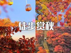 -桔子文创·企业团建·活动策划·拓展会议