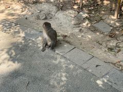 -黔灵山公园