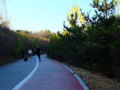 -马家湾湿地公园