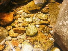 -祁门牯牛降观音堂风景区