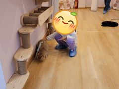 -猫咪派对(江南西店)