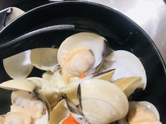 -水哥卜卜贝(东晓·胜汇里店)