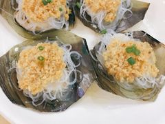 带子-蚝专家