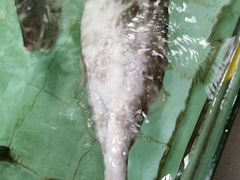 剝皮鱼-寻味顺德·南记酒家·传统顺德菜·鱼生(广源路店)