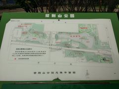 -紫荆山公园