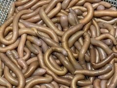 -吴记富苑(朝阳店)